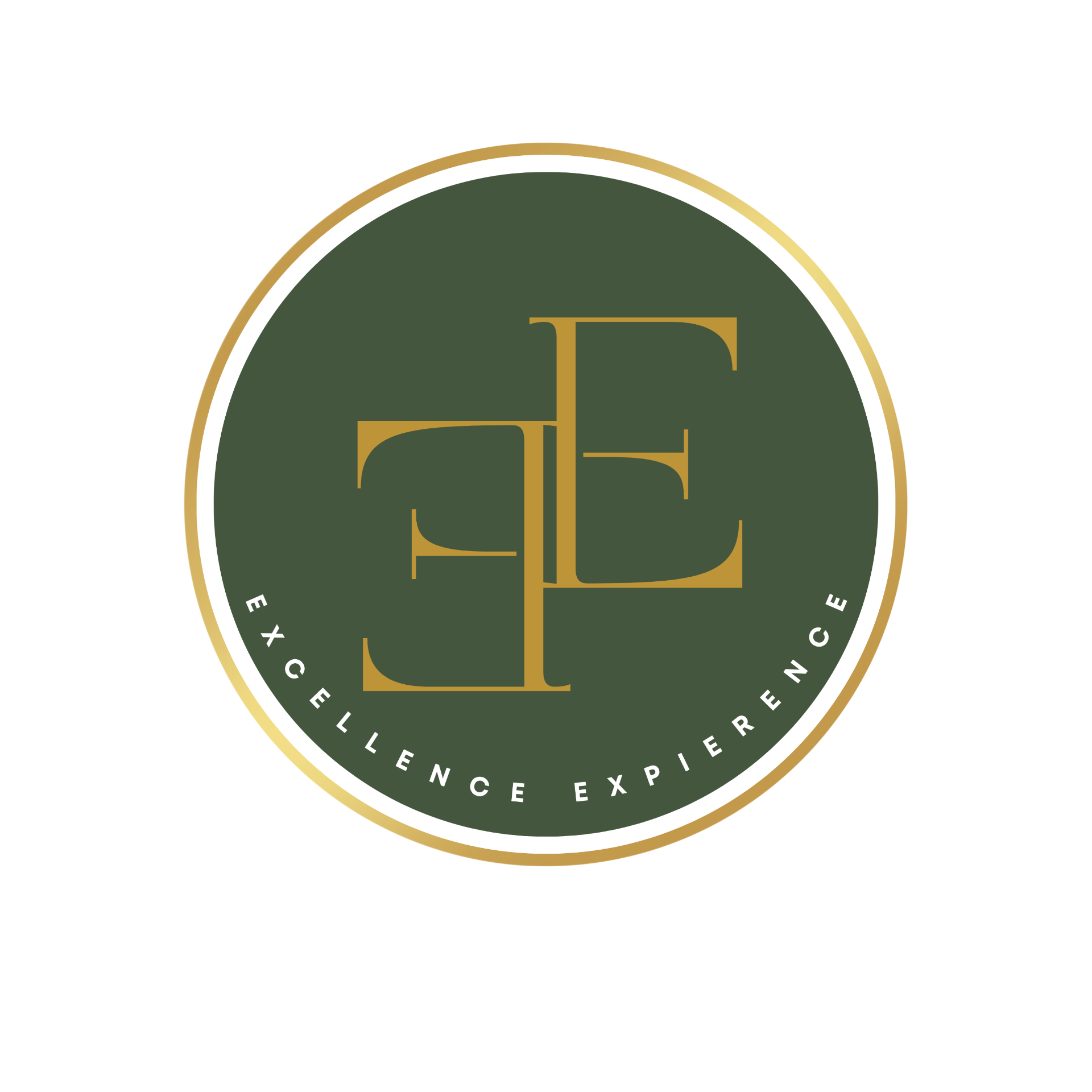 Excellence Experience logo by emer designs